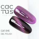 Colore Semipermanente Cat EYE T003