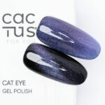 Colore Semipermanente Cat EYE T004