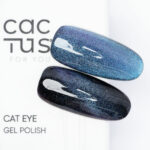 Colore Semipermanente Cat EYE T005