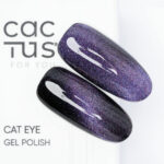 Colore Semipermanente Cat EYE T007